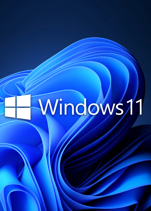 Official Microsoft Windows 11 Pro OEM CD-KEY GLOBAL Microsoft Windows 11 Pro OEM CD-KEY GLOBAL
