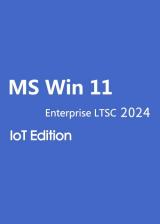 vip-scdkey.com, MS Win 11 Enterprise LTSC 2024 IoT Edition CD Key Global